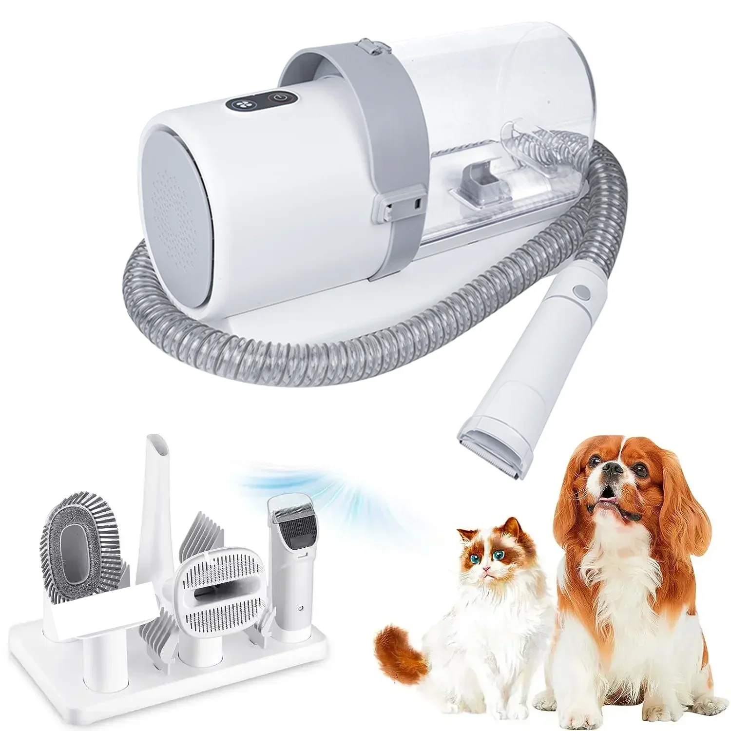 Kit de toilettage pour chien pour animaux de compagnie, comprend 4