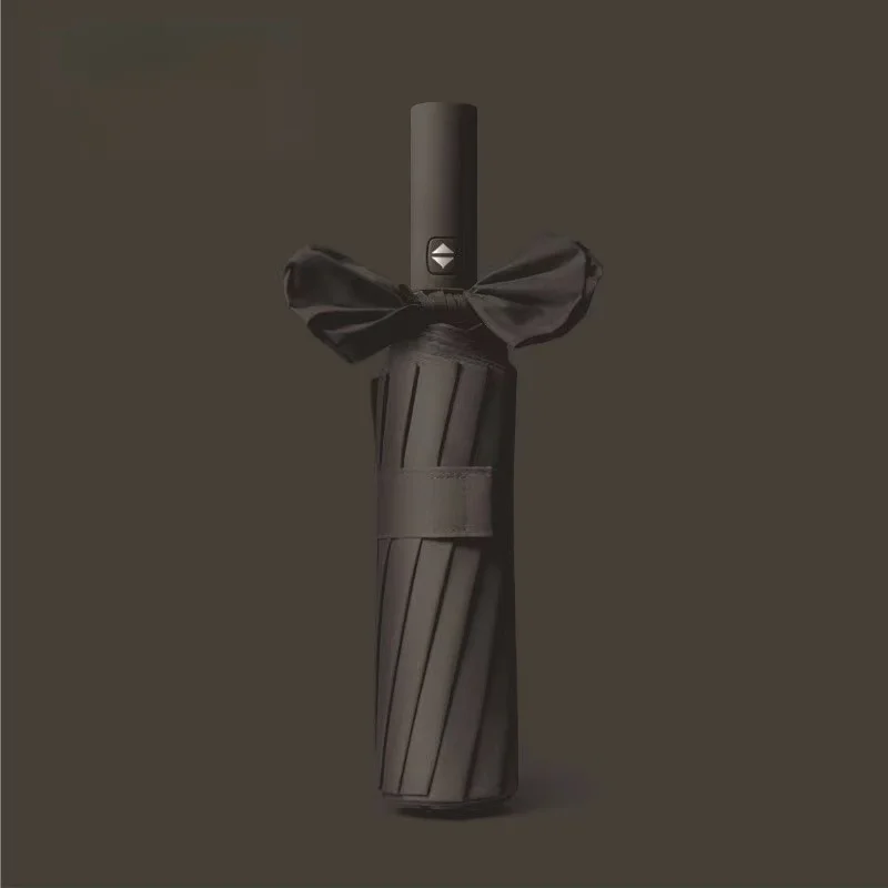 Restez protégé par tous les temps avec ce parapluie entièrement automatique 24 Sophia, plusieurs couleurs disp