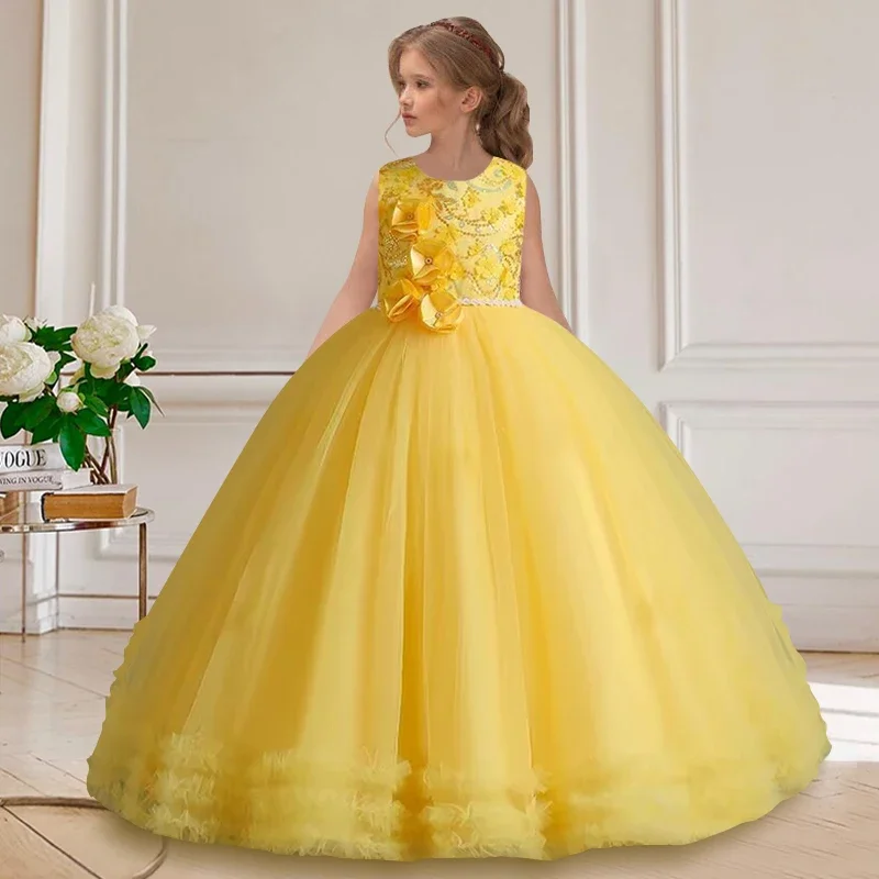 Robe princesse dentelle sans manches filles 412 ans robe gâteau maille événement littérature banquet