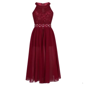 Robe de soirée en dentelle pour enfants sans manches motif floral strass tenue de danse body pour spectacle sur scène spectacle Burgundy Robe de soirée en dentelle pour enfants sans manches motif floral strass tenue de danse body pour spectacle sur scène spectacle Burgundy