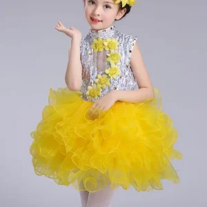 Robe de Princesse pour Fille Tenue de Salle de Bal Danse Jazz Hip Hop Halloween Noël Costumes Enfants Élégance Style Fée Matériaux Doux Accessoires Inclus