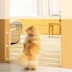 Porte de Protection rétractable Portable pour bébé barrière d&rsquo;escalier clôture ajustable jardin patio pelouse sécurité enfant multi Usage Idéale