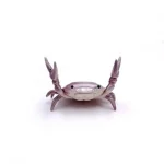 Portestylo en forme de crabe jouet décoratif pour bureau et école cadeau original accessoire marin