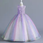 Robe de soirée formelle pour enfants filles arcenciel tulle fleur broderie robe de princesse mariage anniversaire bal robe bouffante  violet