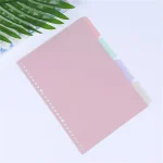 Organisateur documents en plastique souple A4 onglets colorés rose bleu vert lavender