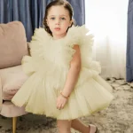 Robe princesse tulle sans manches filles fleur luxueuse robe fête anniversaire communion Champagne