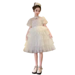 Robe princesse sans manches pour filles tulle brodé papillon nœud papillon robe de soirée anniversaire princesse 46 ans couleur abricot