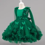 Robe princesse fille tissu tulle papillons occasion spéciale anniversaire mariage recital ballerine verte 713 ans