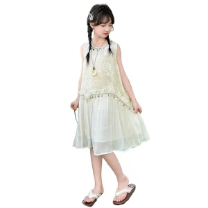 Robe de princesse pour filles vêtements d&rsquo;été style romantique broderie tissu coton nouvelle collection 2025  Kids Fashion