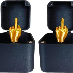 Boîte décoration audacieuse avec main doigt d’honneur 2PCS plastique noir style unique cadeau original Boîte décoration audacieuse avec main doigt d’honneur 2PCS plastique noir style unique cadeau original