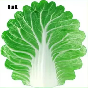 Couverture en flanelle bébé nouveauné douceur naturelle design feuille chou texture en relief hypoallergénique sécuritaire 85 cm Couverture en flanelle bébé nouveauné douceur naturelle design feuille chou texture en relief hypoallergénique sécuritaire 85 cm