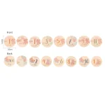 Cartes de jalons en bois ours pour bébé souvenir de naissance accessoires photo cadeau naissance 8 pièces