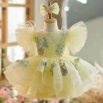 Robe de fête d&rsquo;anniversaire pour bébé fille nouvelle collection exquise unique douce manches bouffantes jupe volumineuse accessoires assortis coton polyester qualité premium durable