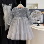 Robe princesse fille tulle paillettes manches longues détails perles couleur grise argentée occasion spéciale anniversaire mariage