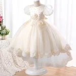 Robe de fête pour enfant princesse tulle satin broderies dorées robe de cérémonie occasion spéciale robe longueur genou filles 310 ans style romantique