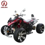 Quad adulte 4 roues 250cc moteur 4 temps transmission automatique CE certification performant et sécuritaire