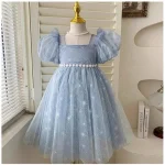 Robe princesse fille occasion spéciale fête d&rsquo;anniversaire soirée formelle carnaval style étoilé tulle satin bleu pastel