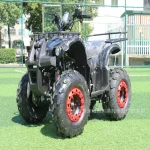 Quad toutterrain Little Bull Field Bike design sportif 4 roues usage outdoor plage randonnée jeunes adultes adolescents véhicule récréatif couleur noire et rouge robuste moderne