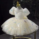 Robe princesse fille tulle satin appliqués papillons occasion spéciale anniversaire mariage fête enfant élégance mode