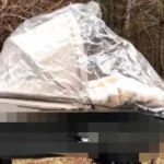 Filet protection pluie poussette haute paysage housse pluie compatible sie land Doux bebe INBB qibaer toutes sortes  basket rain cover