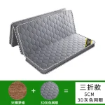 Matelas en Coco Naturel Pliable Tatami Mousse Synthétique Motifs Hexagonaux Gris Confort Économique Écologique Matelas de Sol Ménage Camping Invités
