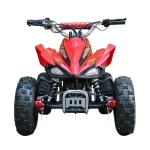 Quad électrique sport toutterrain pour enfants adolescents sécurité confort adultes supervision